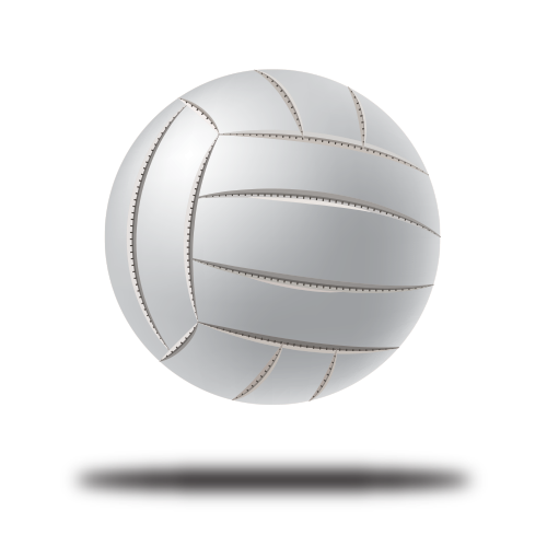Volleyball – Creston Valley Sports Wall of Fame